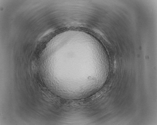 X0000072951063200608111620