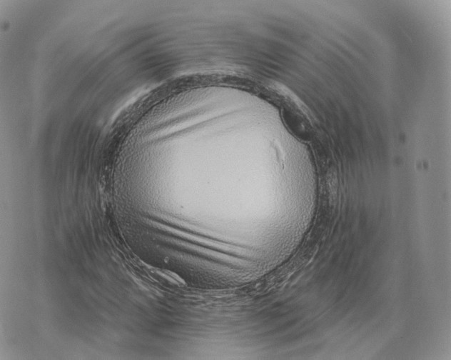 X0000072951064200608111620