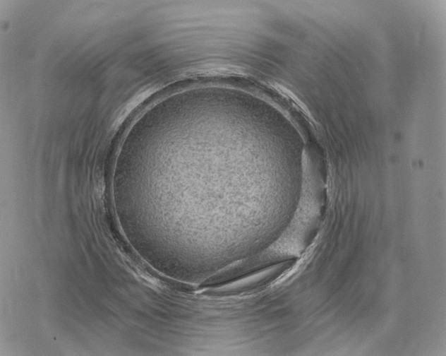 X0000072951065200608111620