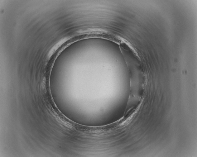 X0000072951066200608111620