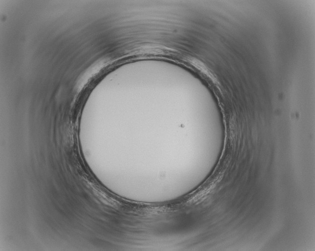 X0000072951067200608111620