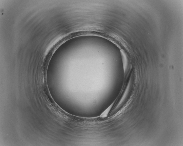 X0000072951069200608111620