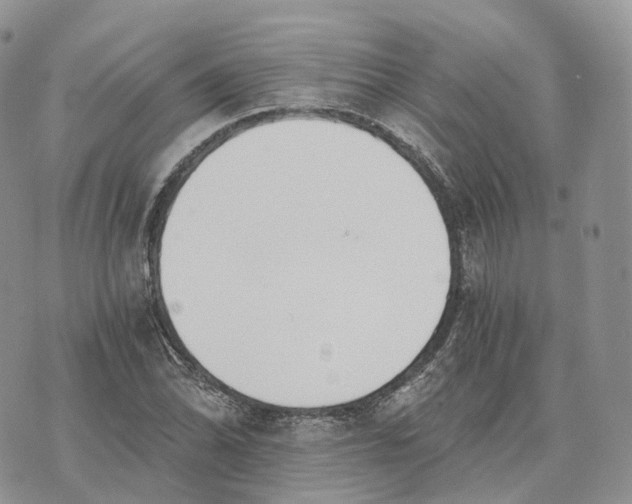 X0000072951070200608111620