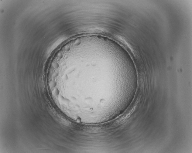 X0000072951071200608111620