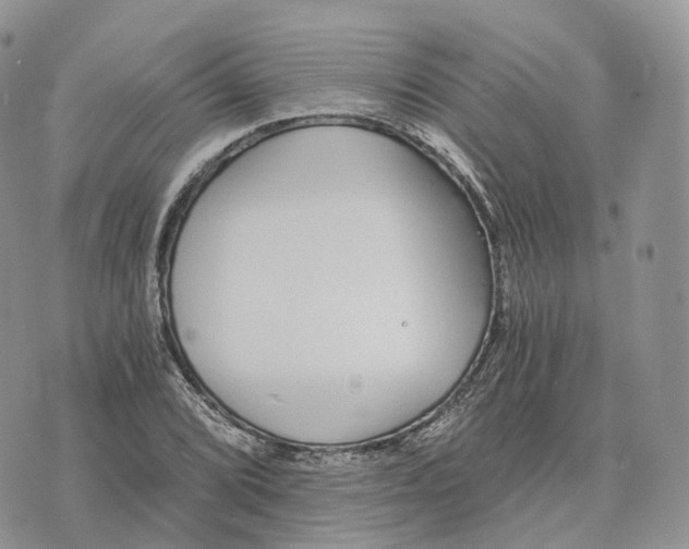 X0000072951072200608111620