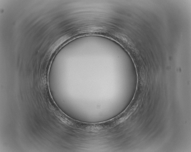 X0000072951073200608111620