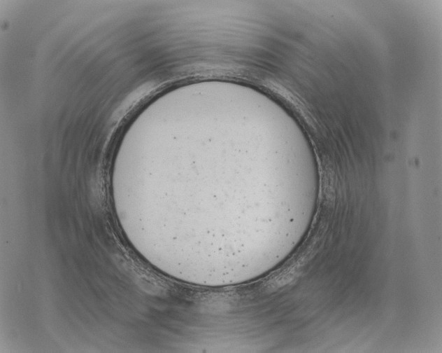 X0000072951074200608111620