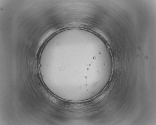 X0000072951075200608111620