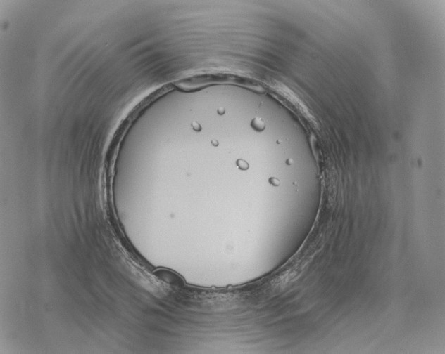 X0000072951076200608111620