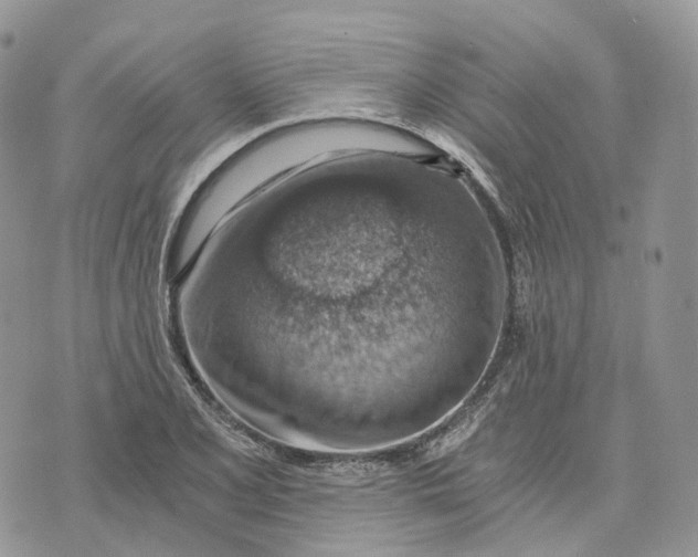 X0000072951077200608111620