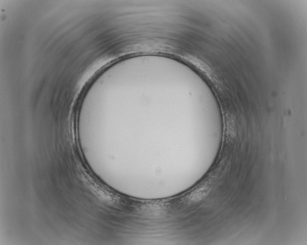 X0000072951078200608111620