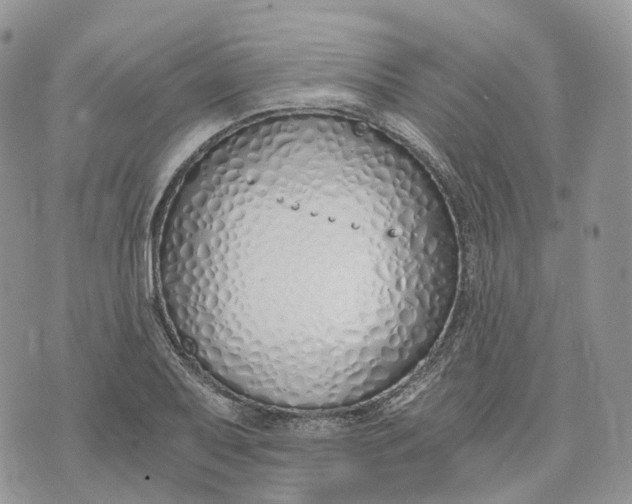 X0000072951079200608111620