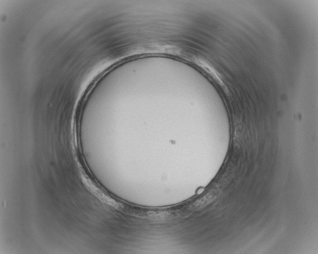 X0000072951080200608111620