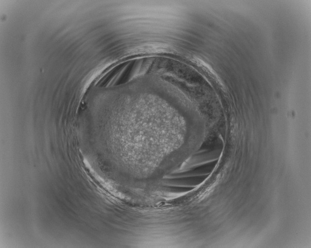 X0000072951081200608111620