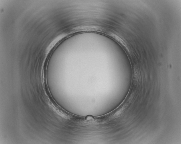 X0000072951082200608111620