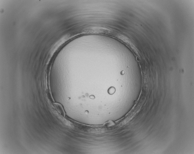 X0000072951083200608111620