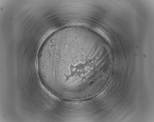 X0000072951084200608111620