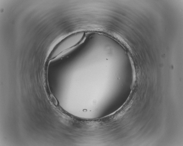 X0000072951085200608111619