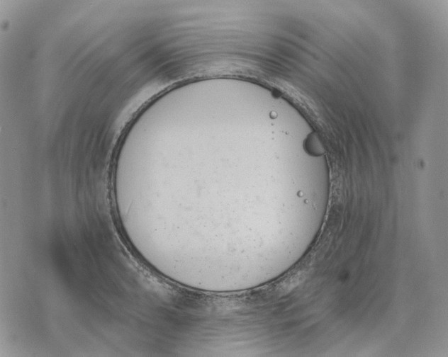 X0000072951086200608111619