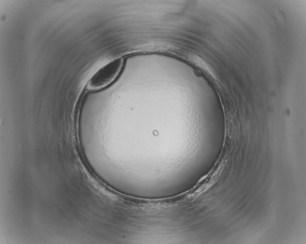 X0000072951087200608111619