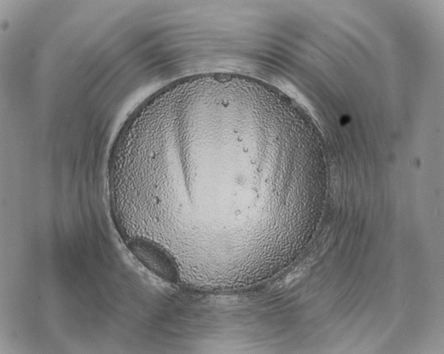 X0000072951088200608111619