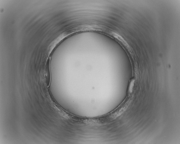 X0000072951089200608111619