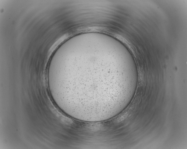 X0000072951090200608111619