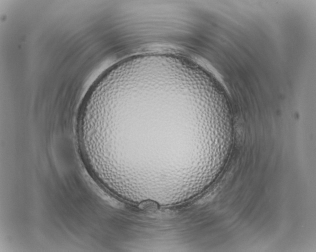 X0000072951091200608111619