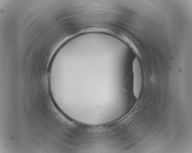 X0000072951092200608111619