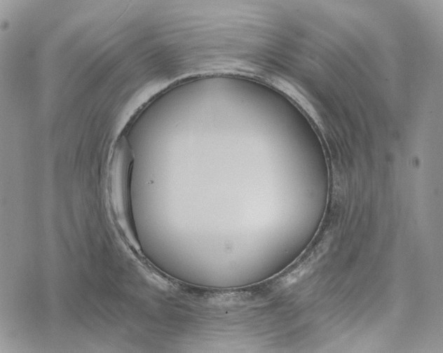 X0000072951093200608111619