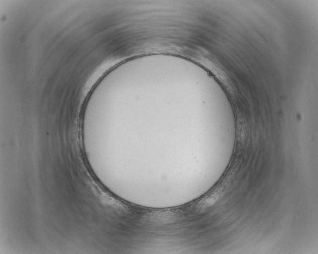 X0000072951094200608111619