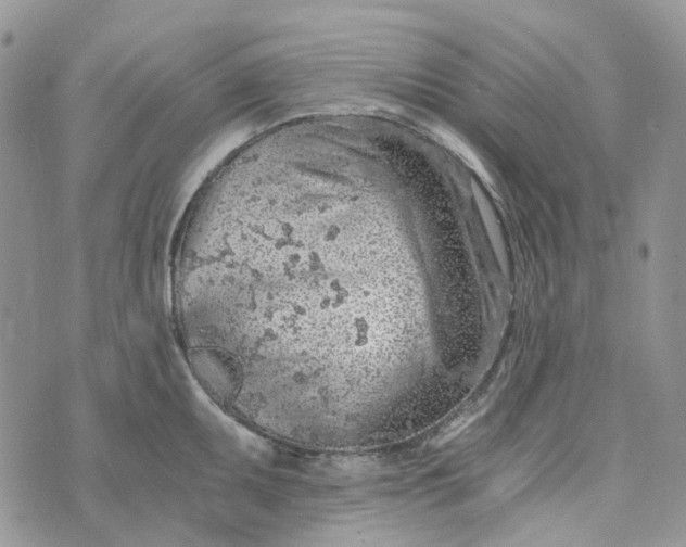 X0000072951095200608111619