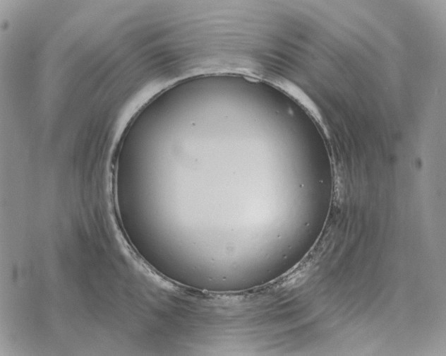 X0000072951096200608111619