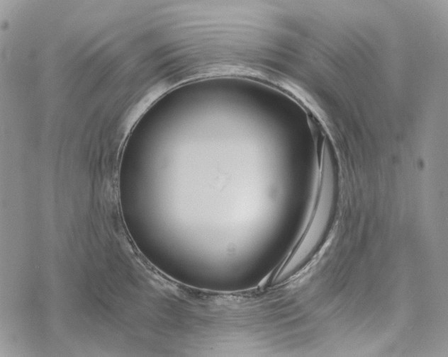 X0000072951097200608111619