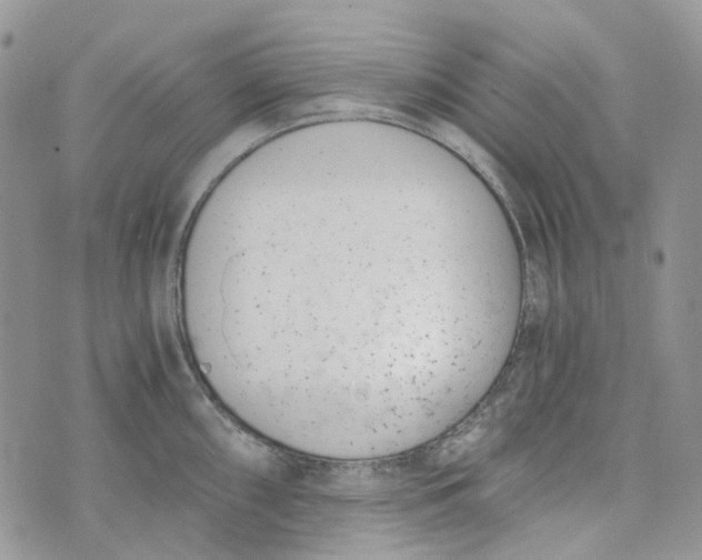 X0000072951098200608111619