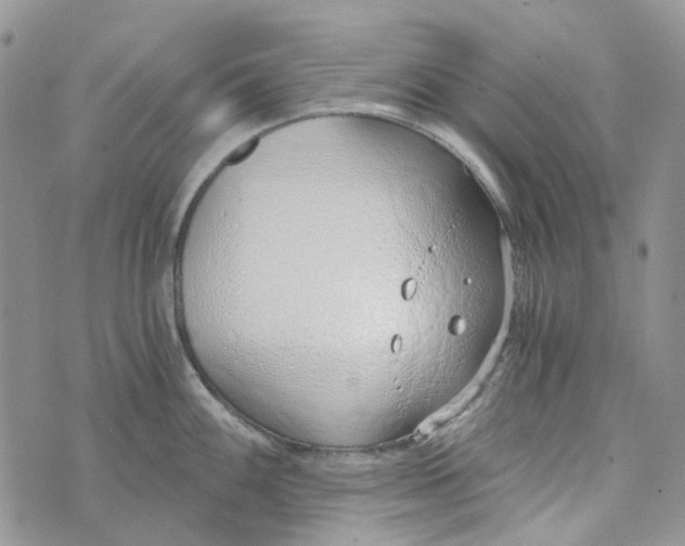 X0000072951100200608111619