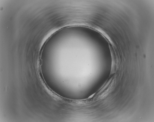 X0000072951101200608111619