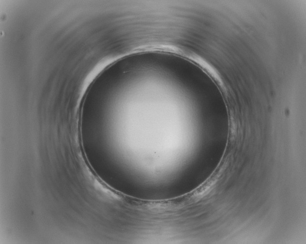 X0000072951102200608111619