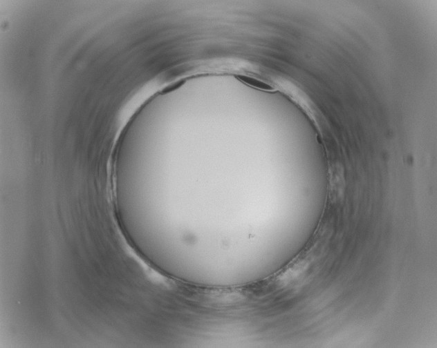 X0000072951103200608111619