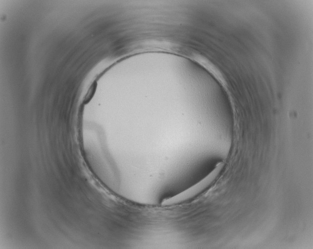 X0000072951104200608111619