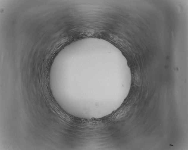 X0000072951105200608111618