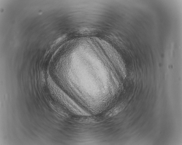 X0000072951106200608111618