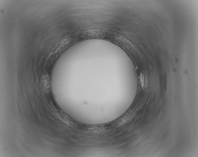 X0000072951107200608111618