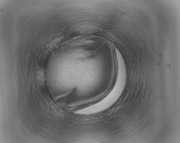 X0000072951108200608111618