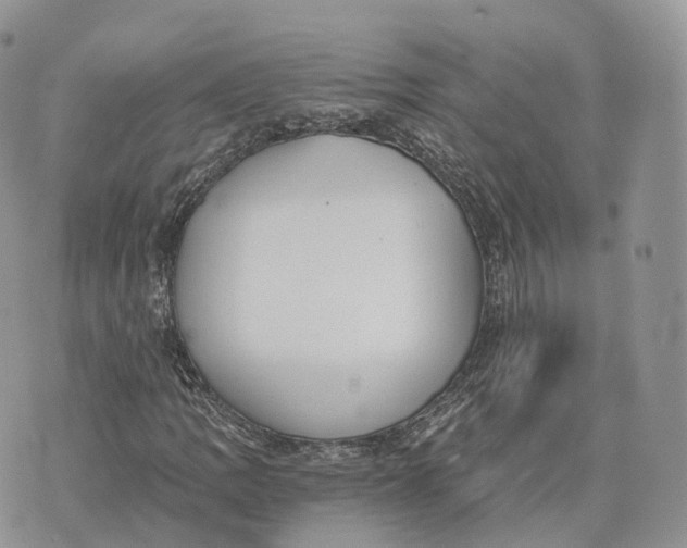 X0000072951109200608111618