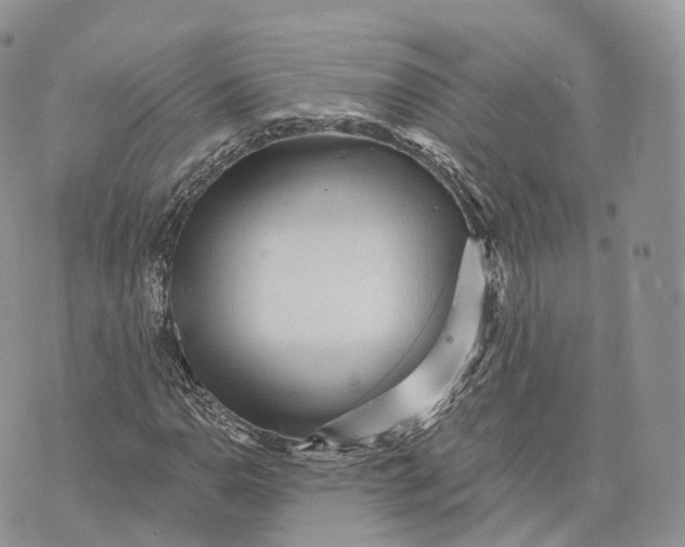 X0000072951110200608111618