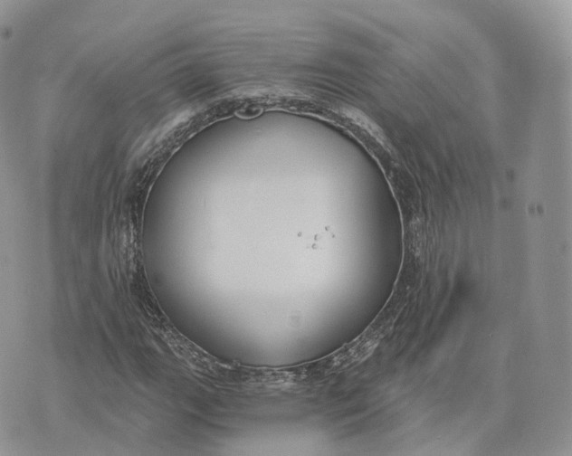 X0000072951111200608111618