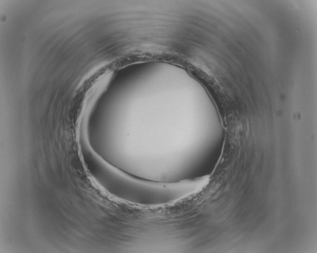 X0000072951112200608111619