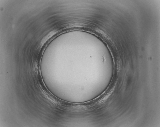 X0000072951113200608111619