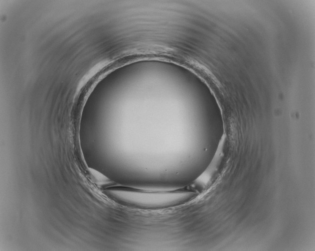 X0000072951114200608111619